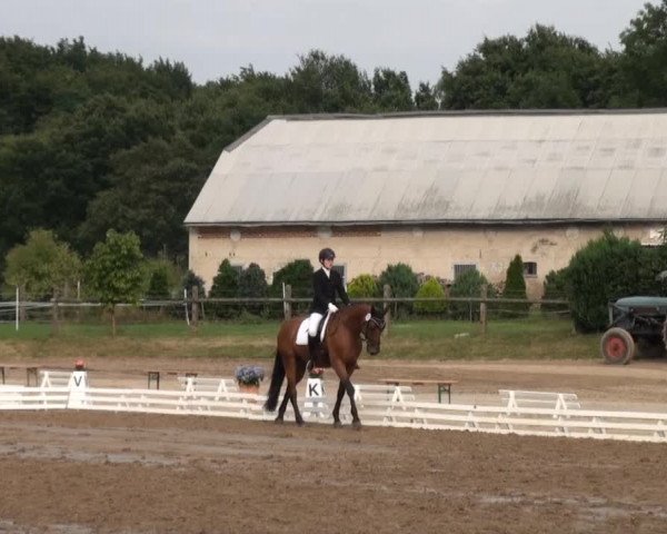 Reitsporttage an der Führser Mühle 2013