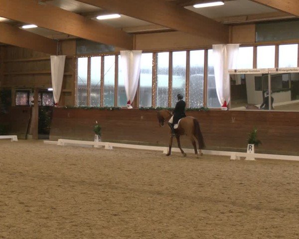Reitturnier Coesfeld/Lette 2024