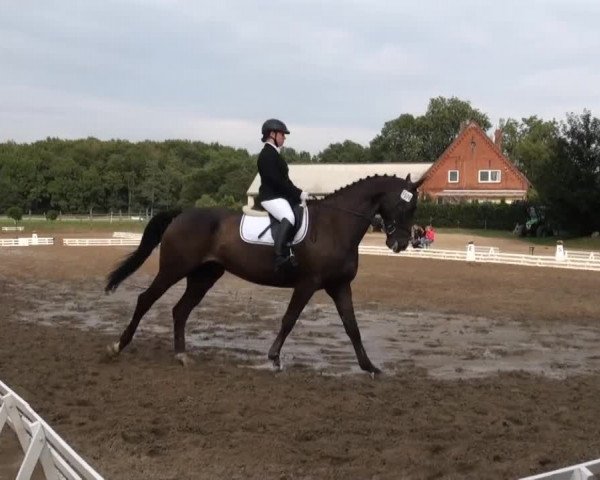 Reitsporttage an der Führser Mühle 2013