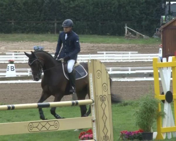 Reitturnier Nienburg 2013