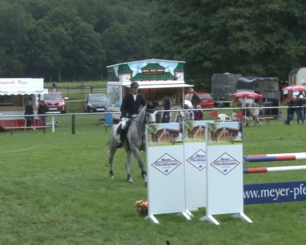 Reitturnier Nienburg 2013
