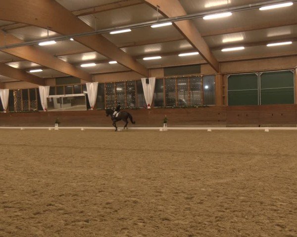 Reitturnier Coesfeld/Lette 2024