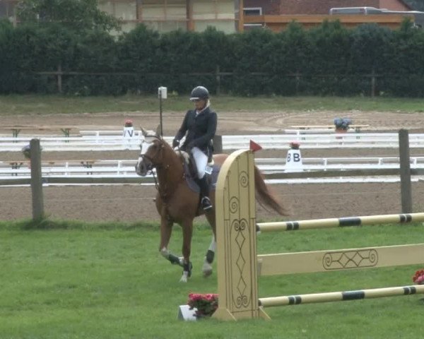 Reitsporttage an der Führser Mühle 2013