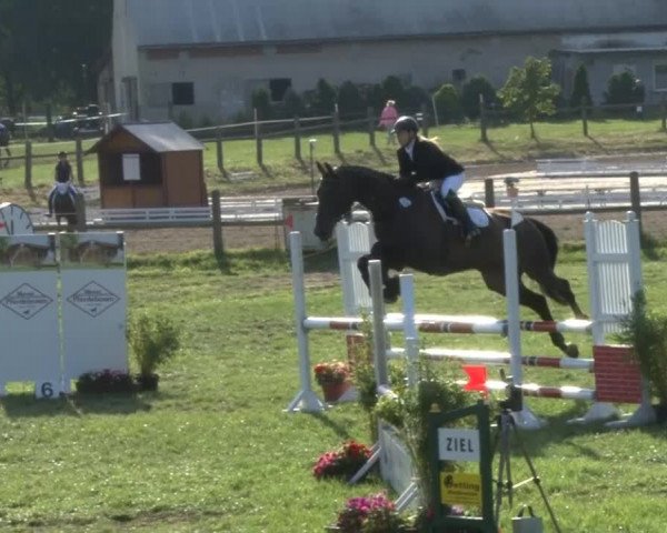 Reitsporttage an der Führser Mühle 2013
