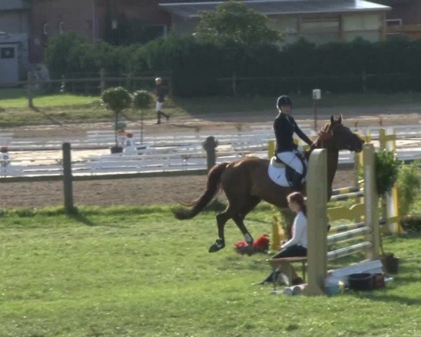 Reitsporttage an der Führser Mühle 2013