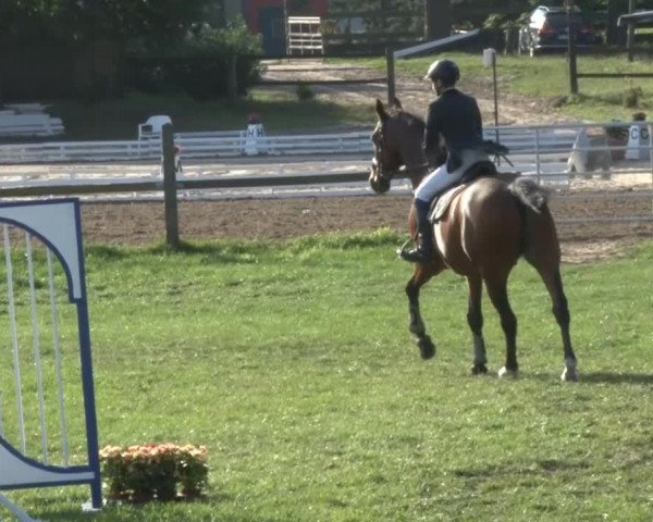 Reitsporttage an der Führser Mühle 2013