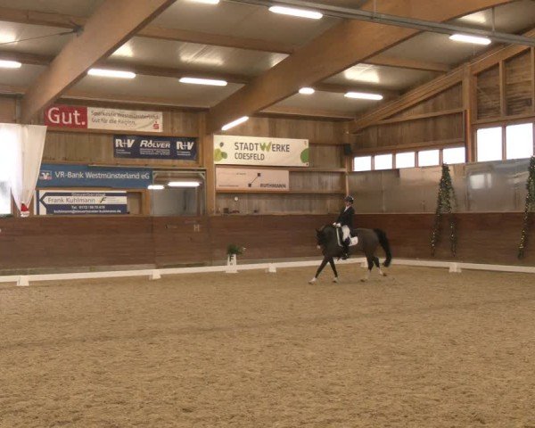 Reitturnier Coesfeld/Lette 2024