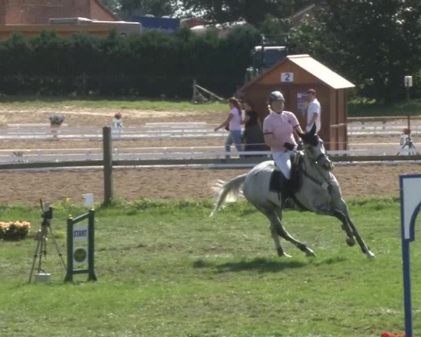Reitsporttage an der Führser Mühle 2013