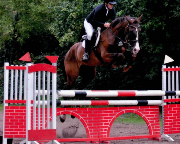 Springpferd Villy (Hannoveraner, 2013, von Viscount 22)