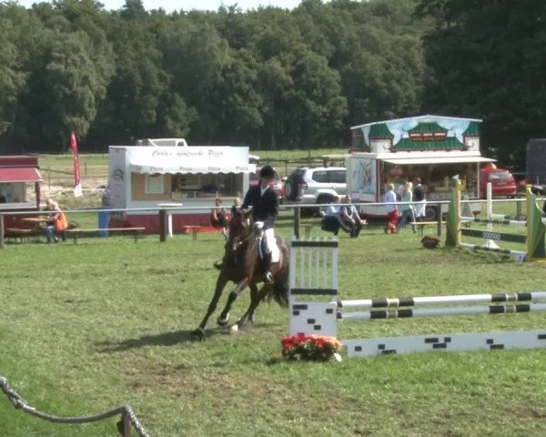 Reitturnier Nienburg 2013