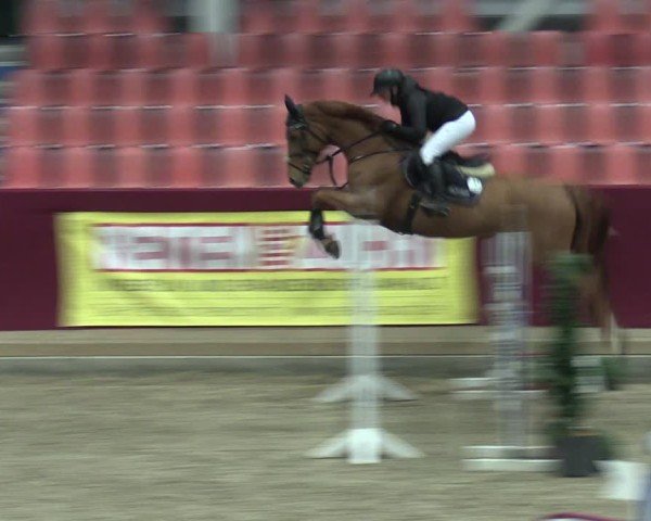 Reitturnier Neustadt/Dosse - Graf von Lindenau-Halle 2024