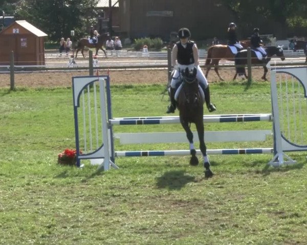 Reitsporttage an der Führser Mühle 2013