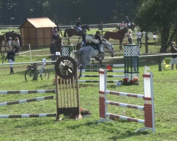 Reitsporttage an der Führser Mühle 2013