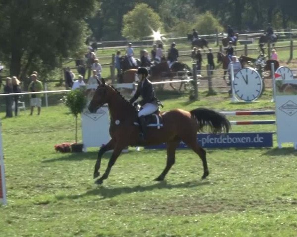 Reitsporttage an der Führser Mühle 2013