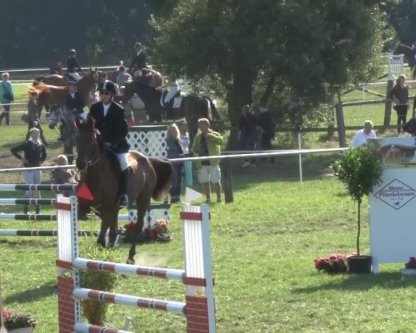 Reitsporttage an der Führser Mühle 2013