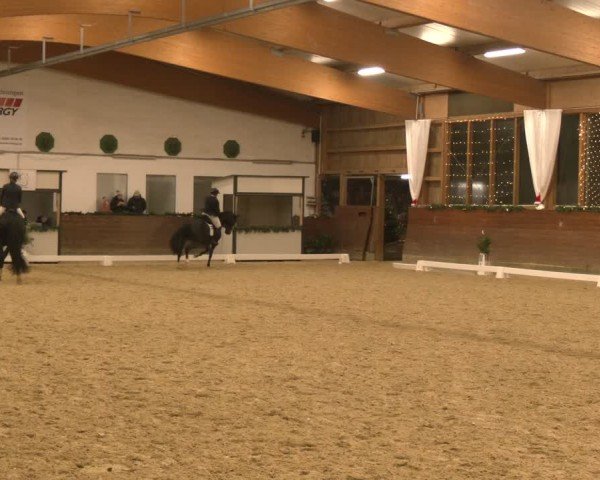 Reitturnier Coesfeld/Lette 2024