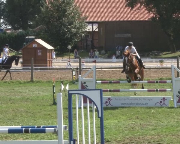 Reitsporttage an der Führser Mühle 2013