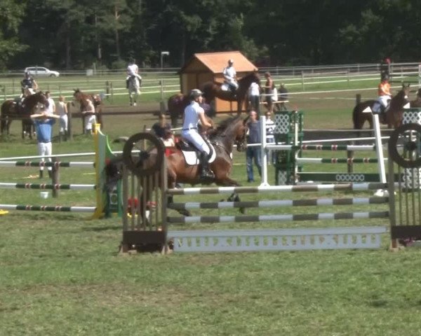 Reitsporttage an der Führser Mühle 2013