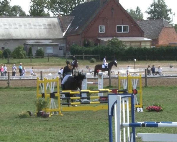 Reitsporttage an der Führser Mühle 2013