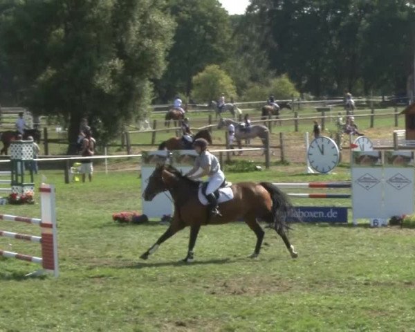 Reitsporttage an der Führser Mühle 2013