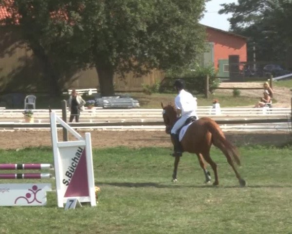Reitsporttage an der Führser Mühle 2013