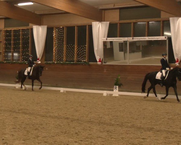 Reitturnier Coesfeld/Lette 2024