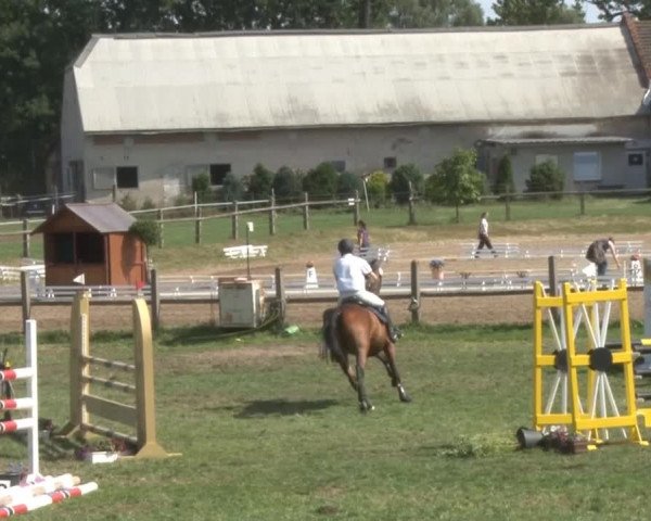 Reitsporttage an der Führser Mühle 2013