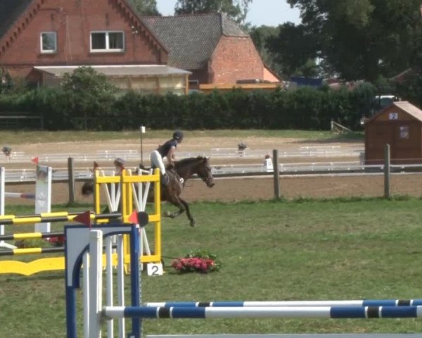Reitturnier Nienburg 2013
