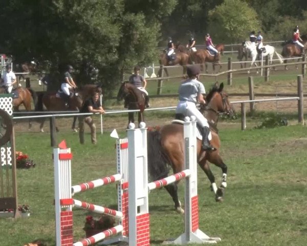 Reitsporttage an der Führser Mühle 2013