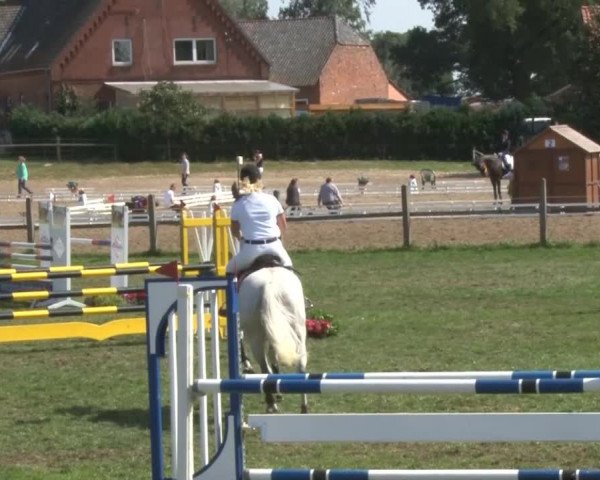 Reitturnier Nienburg 2013