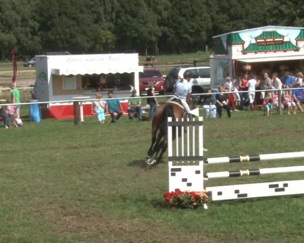 Reitsporttage an der Führser Mühle 2013