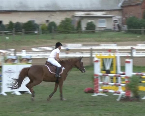 Reitsporttage an der Führser Mühle 2013