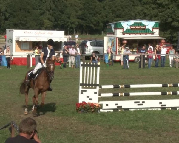 Reitsporttage an der Führser Mühle 2013