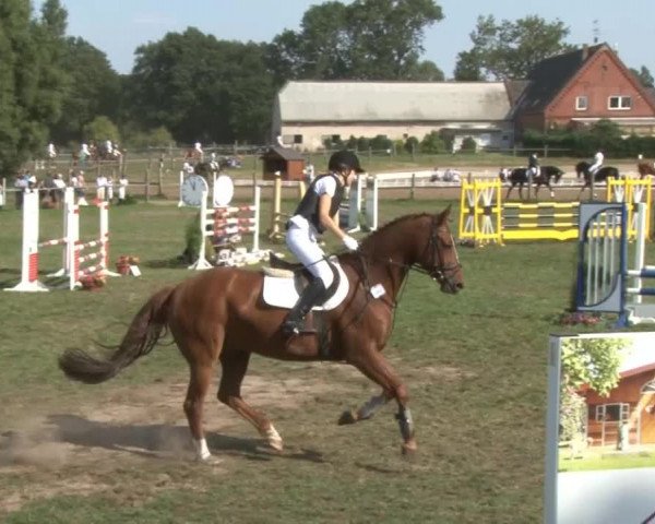 Reitturnier Nienburg 2013