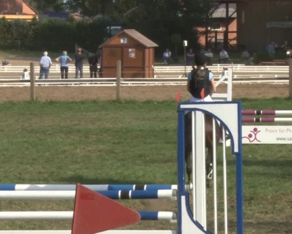 Reitsporttage an der Führser Mühle 2013