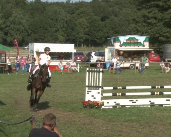 Reitsporttage an der Führser Mühle 2013
