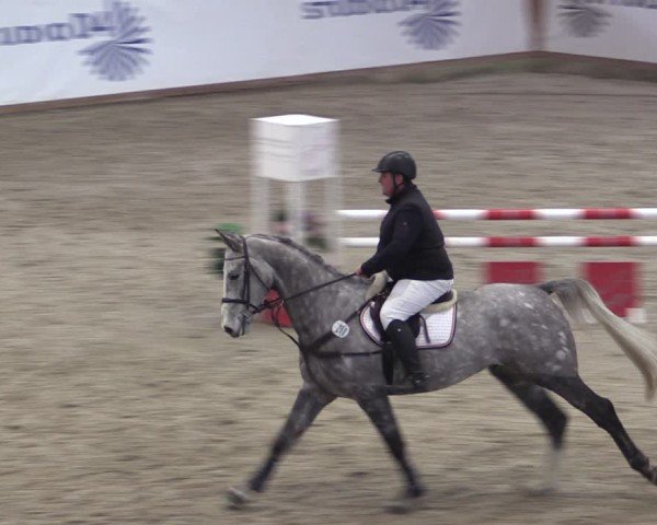 Reitturnier Prussendorf 2024