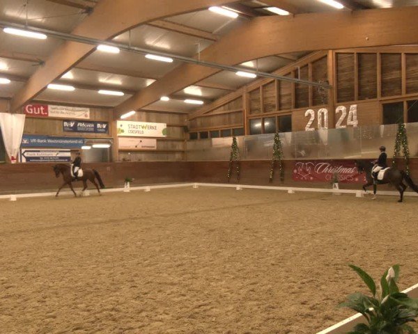 Reitturnier Coesfeld/Lette 2024