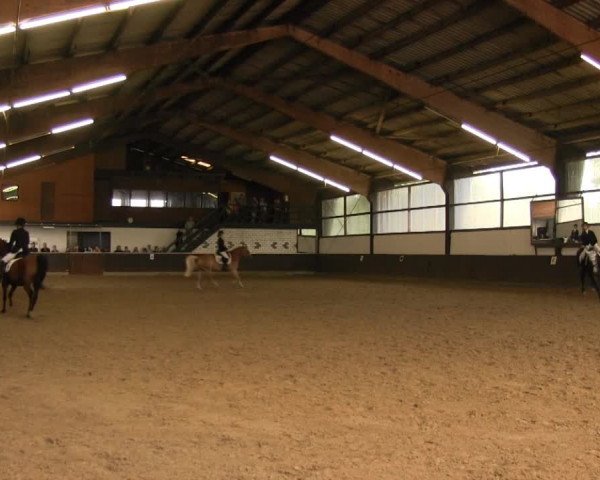 Bühren-Breckerfeld 2013