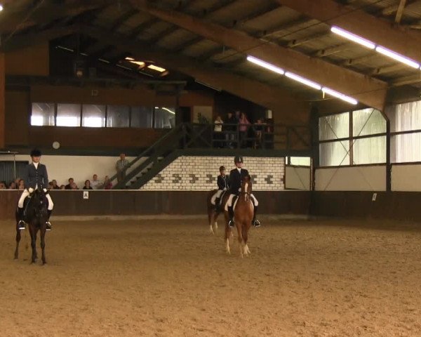 Bühren-Breckerfeld 2013