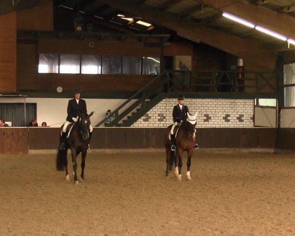 Bühren-Breckerfeld 2013