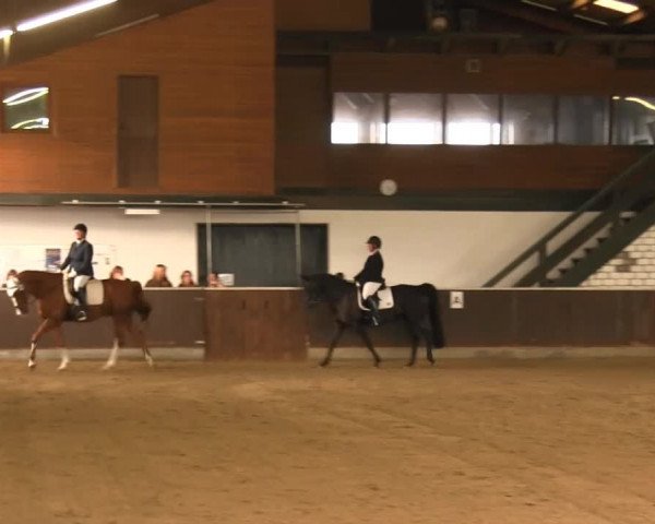 Bühren-Breckerfeld 2013