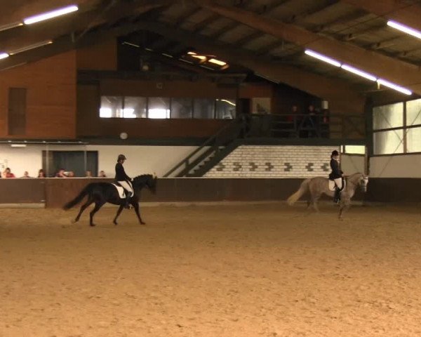 Bühren-Breckerfeld 2013