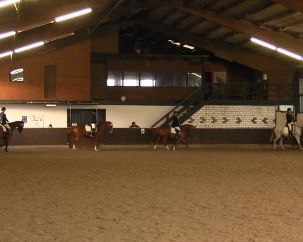 Bühren-Breckerfeld 2013