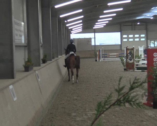 Reitturnier Ahaus 2021