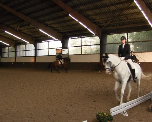 Bühren-Breckerfeld 2013