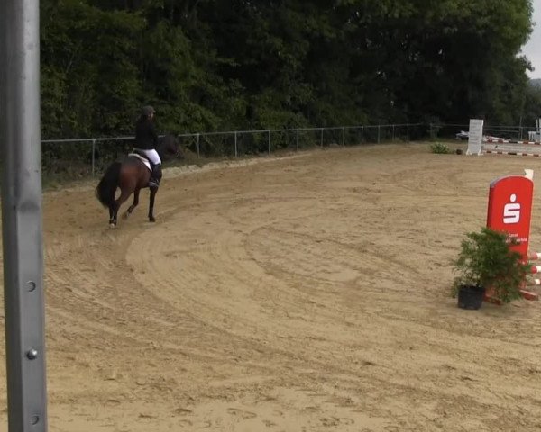 Reitturnier Bühren-Breckerfeld 2013