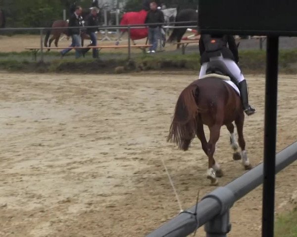Bühren-Breckerfeld 2013