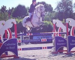 jumper The Little Squire (Irish Sport Horse, 2006)