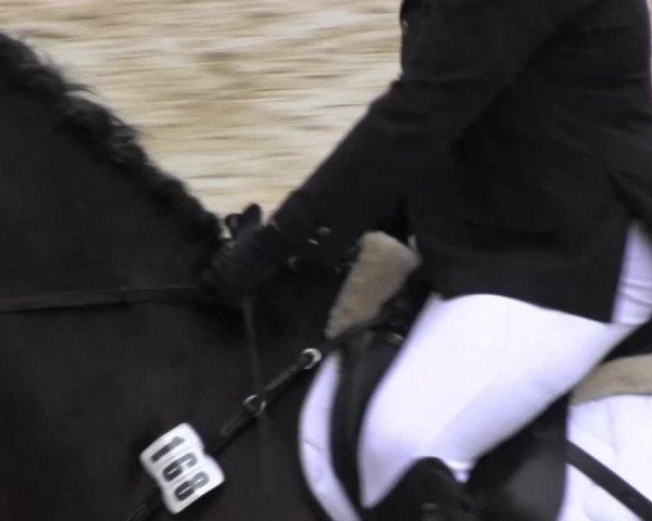Reitturnier Bühren-Breckerfeld 2013